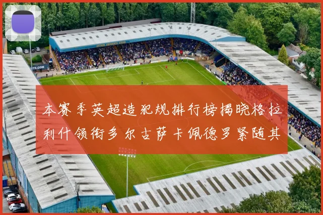 本赛季英超造犯规排行榜揭晓格拉利什领衔多尔古萨卡佩德罗紧随其后